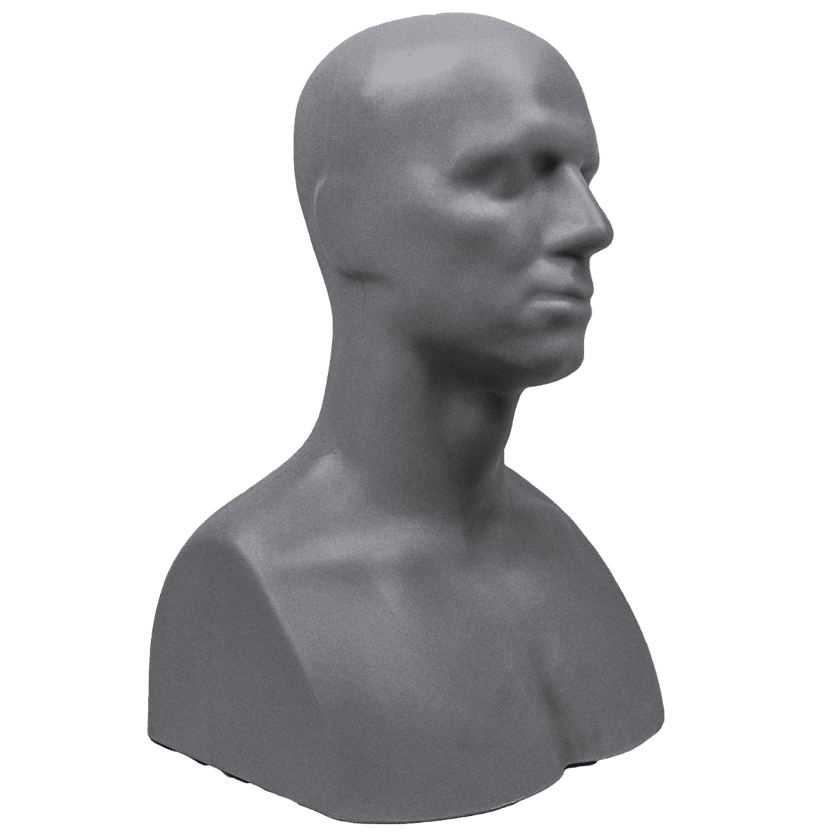 Deluxe Full Ed Head Male Armature