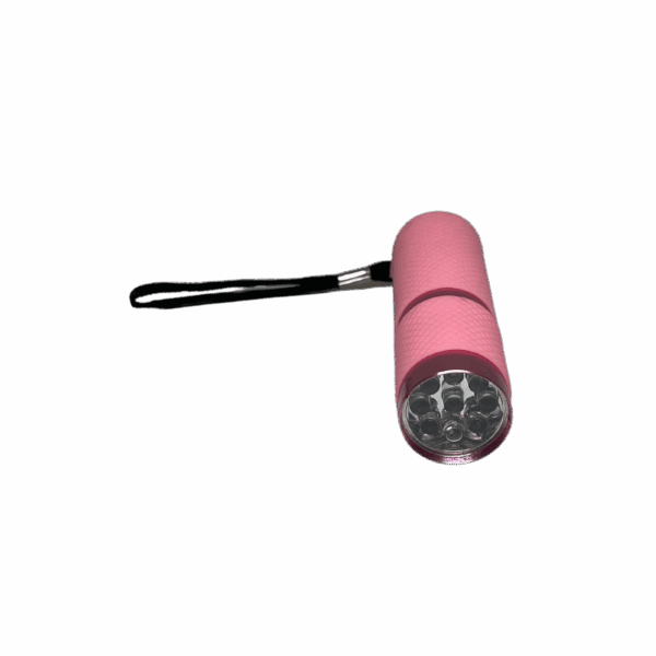 UV Torch 1W