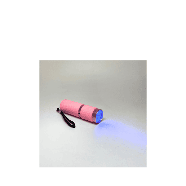 UV Torch 1W